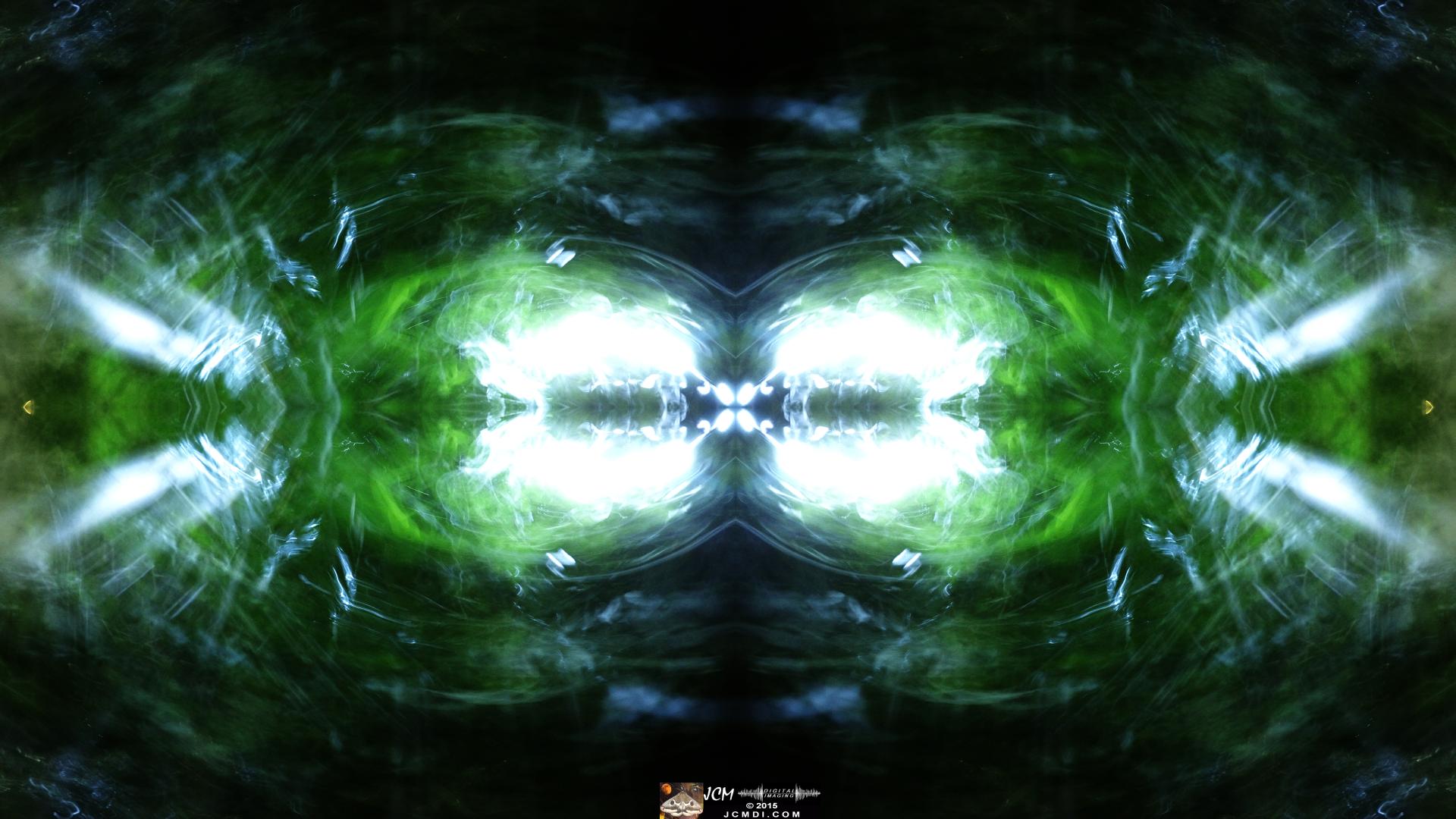 Scrub Jay Nest Time Lapse Hero4 Abstract quadroscopic